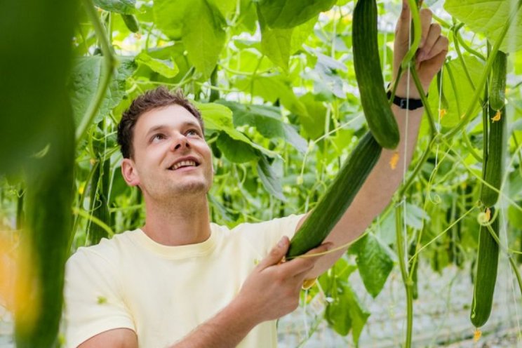 Met extra zorg geteeld