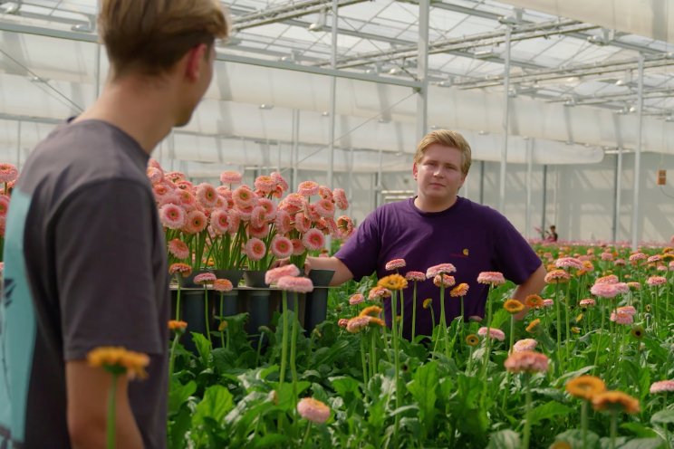 Daan op bezoek bij... Holstein Flowers