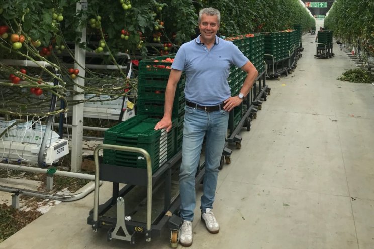 Duurzame installatie voor aardbeien- en tomatenteelt        