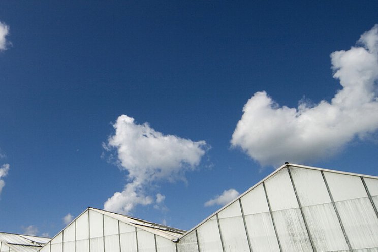 Gesprek over gezamenlijke visie toekomst tuinbouw