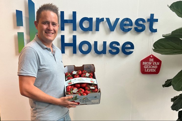Harvest of Health kiest voor resistent tomatenras Harvest of Health kiest voor resistent tomatenras