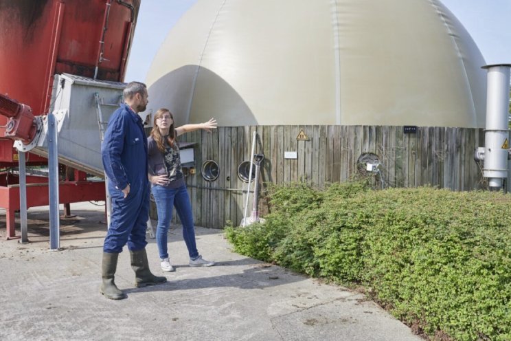 Inagro ondersteunt energietransitie Vlaamse tuinbouw 