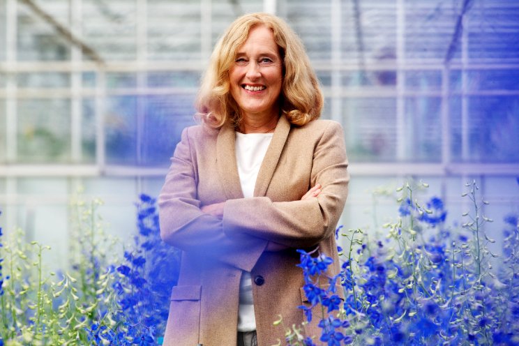 'Benut verruimde staatssteun EU voor glastuinbouw' 'Benut verruimde staatssteun EU voor glastuinbouw'