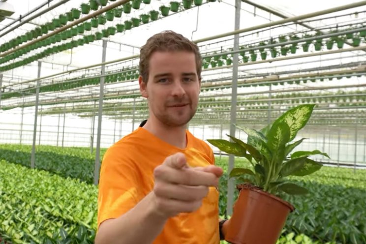 Koning Tuinbouw ook zonder Oranje verder Koning Tuinbouw ook zonder Oranje verder