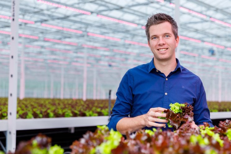 Verrood in tomatenteelt: wel of niet verstandig?