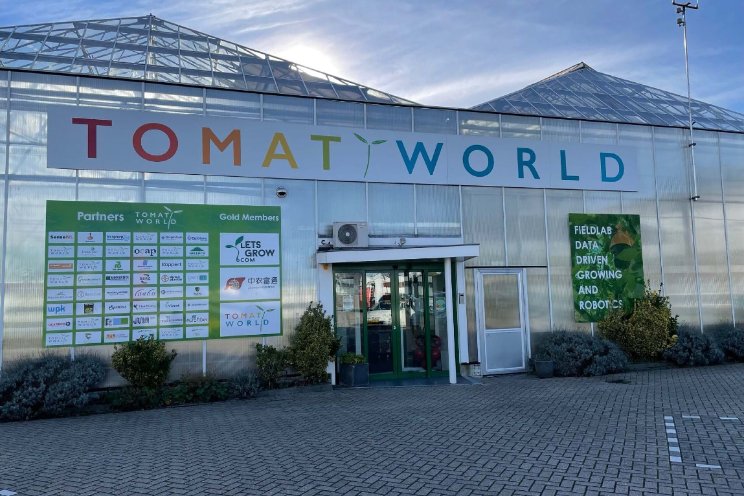 Morgen: Tomatoworld