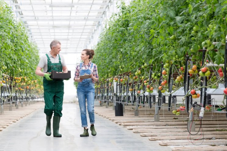 LTO Verzekeringen en Topteam samen verder LTO Verzekeringen en Topteam samen verder