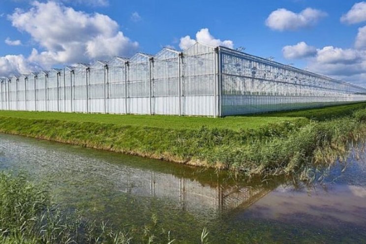 Kritiek op uitzending Nieuwsuur over tuinbouw