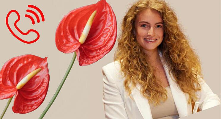 Luister terug: Bloemen voor paus Luister terug: Bloemen voor paus