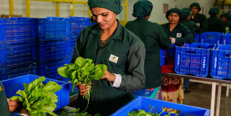 Europese investering in boerenorganisatie India Europese investering in boerenorganisatie India
