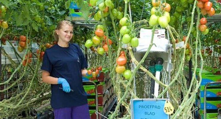 Jonge Nederlanders moeten het langst werken van hele EU Jonge Nederlanders moeten het langst werken van hele EU