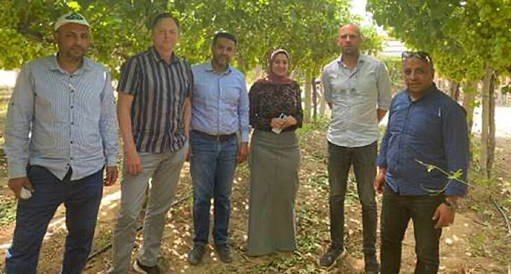 The Greenery bezoekt druiventelers in Egypte The Greenery bezoekt druiventelers in Egypte