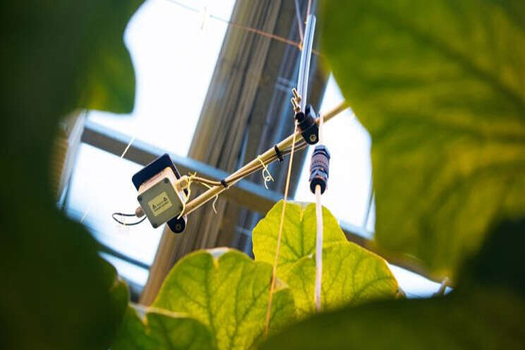 WUR ontwikkelt toepassingen toekomstgerichte tuinbouw WUR ontwikkelt toepassingen toekomstgerichte tuinbouw